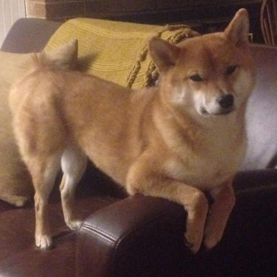 九游官网入口-国足主场观众人数创新高，70588人助威，2021年国足主场